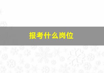 报考什么岗位