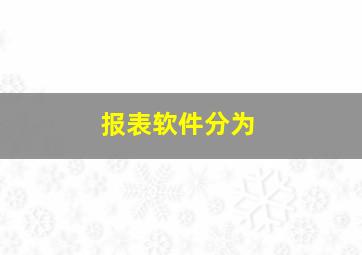 报表软件分为