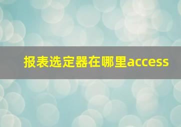 报表选定器在哪里access