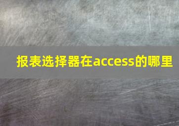 报表选择器在access的哪里