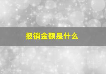 报销金额是什么