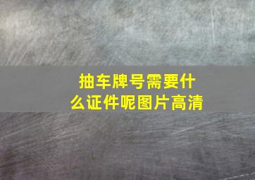 抽车牌号需要什么证件呢图片高清