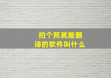 拍个照就能翻译的软件叫什么