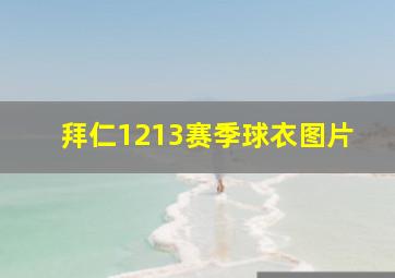 拜仁1213赛季球衣图片