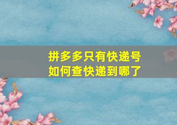 拼多多只有快递号如何查快递到哪了