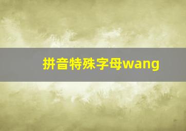 拼音特殊字母wang