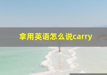 拿用英语怎么说carry