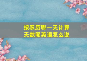 按农历哪一天计算天数呢英语怎么说