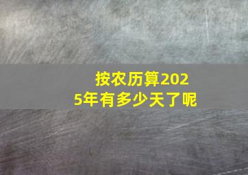 按农历算2025年有多少天了呢