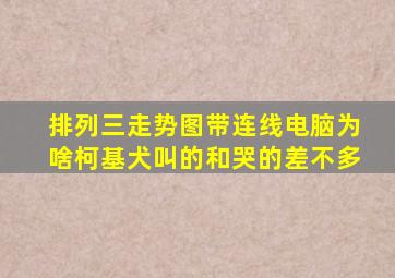 排列三走势图带连线电脑为啥柯基犬叫的和哭的差不多