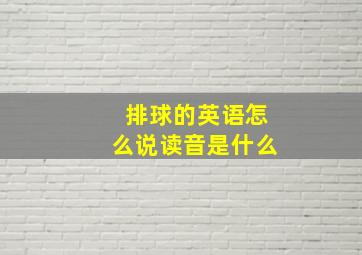 排球的英语怎么说读音是什么