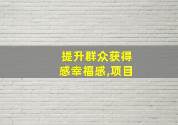 提升群众获得感幸福感,项目