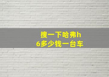 搜一下哈弗h6多少钱一台车