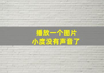 播放一个图片小度没有声音了