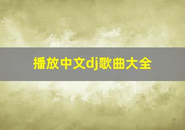 播放中文dj歌曲大全