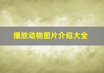 播放动物图片介绍大全