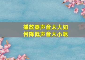 播放器声音太大如何降低声音大小呢