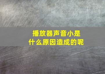 播放器声音小是什么原因造成的呢