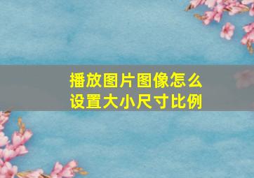 播放图片图像怎么设置大小尺寸比例