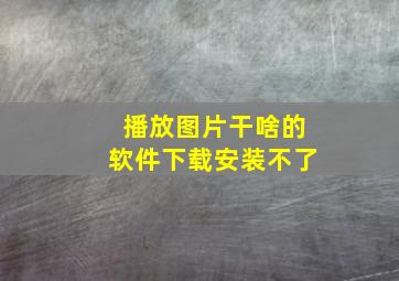 播放图片干啥的软件下载安装不了