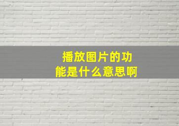 播放图片的功能是什么意思啊