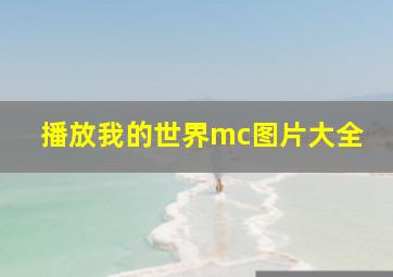 播放我的世界mc图片大全