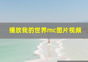 播放我的世界mc图片视频