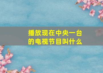 播放现在中央一台的电视节目叫什么