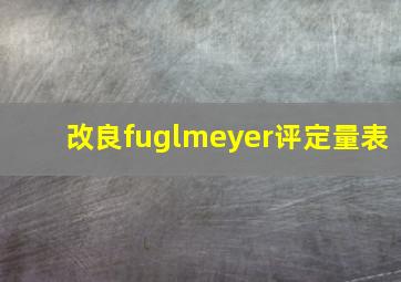 改良fuglmeyer评定量表