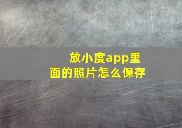 放小度app里面的照片怎么保存