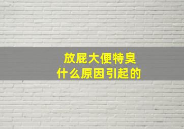 放屁大便特臭什么原因引起的