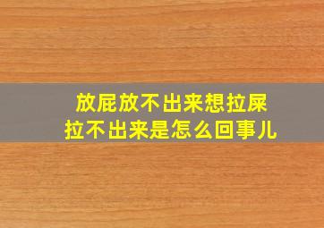 放屁放不出来想拉屎拉不出来是怎么回事儿