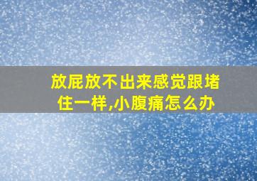 放屁放不出来感觉跟堵住一样,小腹痛怎么办