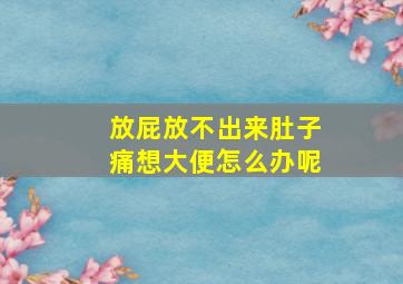 放屁放不出来肚子痛想大便怎么办呢