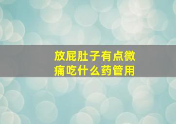 放屁肚子有点微痛吃什么药管用