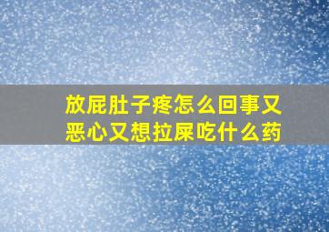 放屁肚子疼怎么回事又恶心又想拉屎吃什么药