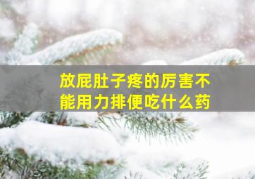 放屁肚子疼的厉害不能用力排便吃什么药