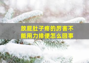 放屁肚子疼的厉害不能用力排便怎么回事