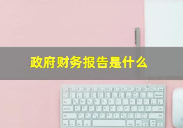 政府财务报告是什么