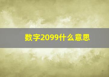 数字2099什么意思