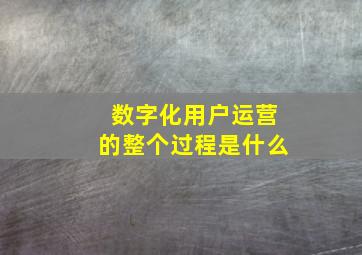 数字化用户运营的整个过程是什么