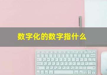 数字化的数字指什么