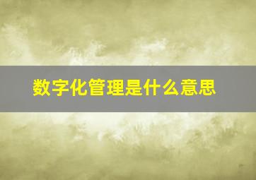 数字化管理是什么意思