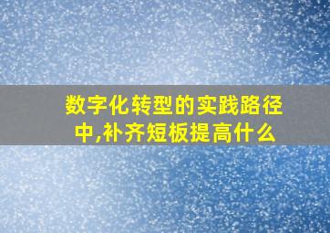 数字化转型的实践路径中,补齐短板提高什么