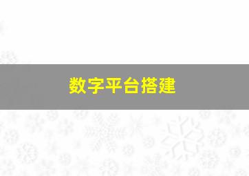 数字平台搭建