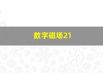 数字磁场21