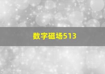 数字磁场513