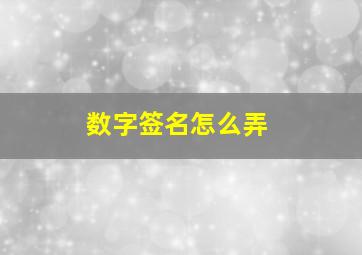 数字签名怎么弄