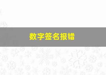 数字签名报错