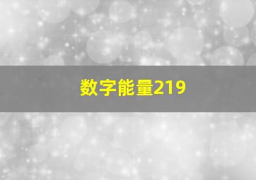 数字能量219